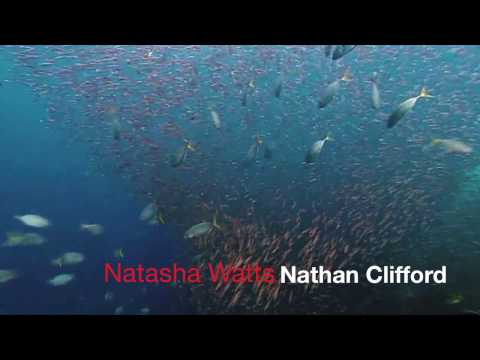 Dom Navarra Search 2 Find the Real Video Promo