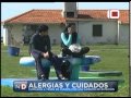 Video: Alergias