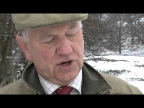 William Powell - Driven Pheasant & Partridge Shooting at Snilesworth