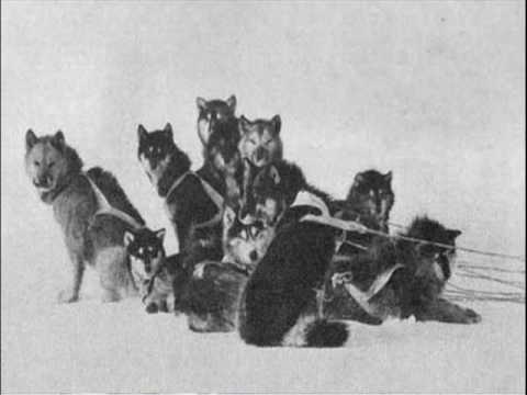 Bilej snih (North to Alaska)