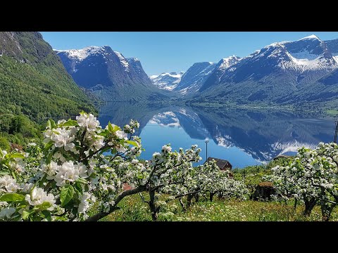Uncover the secrets of Norwegian cider with Nevada Berg