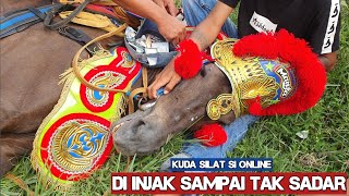 Download lagu Kuda renggong atraksi - Atraksi kuda renggong di majalaya mp3