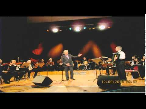 Dobrivoje Pavlica i VNO RTV - Voditeljska najava