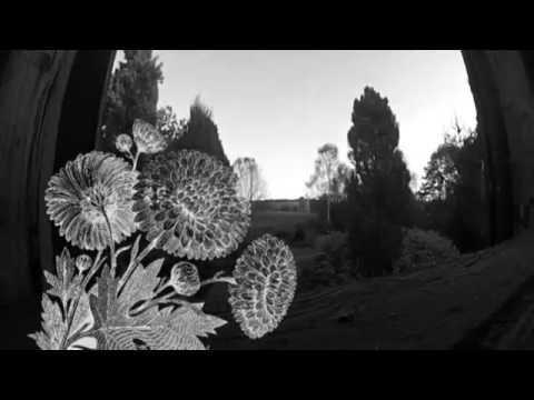 Nůž - NůŽ - western