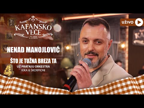 NENAD MANOJLOVIC - STO JE TUZNA BREZA TA | UZIVO | (ORK KIKA I SKORPIONI) | 2023 | KAFANSKO VECE