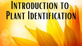 Introduction to Plant Identification (2023 version)