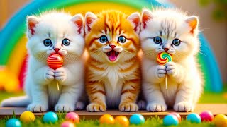 Download lagu MEOW MEOW KITTENS - THE CUTE CAT MEOW ❤️ Latest Viral Indonesian Children's Songs mp3 Download lagu MEOW MEOW KITTENS - THE CUTE CAT MEOW ❤️ Latest Viral Indonesian Children's Songs mp3