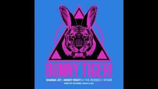 Sharam Jey - Money Right! (Vanilla Ace Remix) - BT028