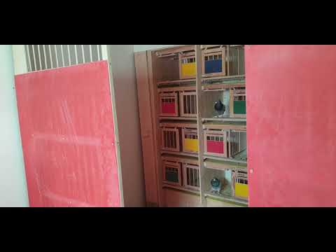 Podstawowy krok do sukcesu w lotach starych w sezonie 2022