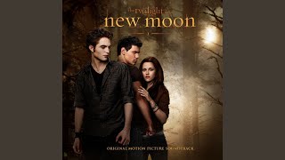 New Moon (The Meadow)