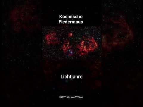 Video Thumbnail: Kosmischer Grusel • Diese Fledermaus kommt aus dem All | Andreas Müller