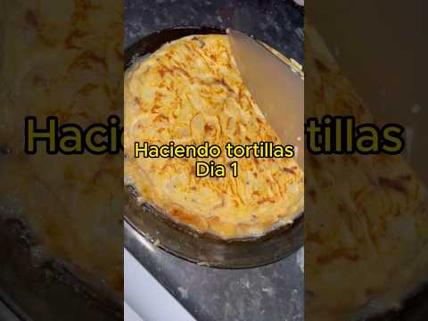 Tortilla de Patatas con y sin Cebolla 🧅 🥚🥔