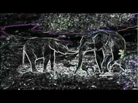 Stylus Rex - Blatant Elephant.