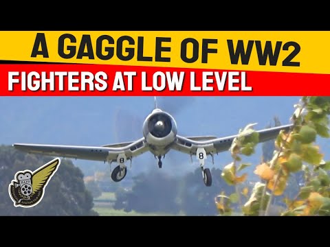 Six WW2 Fighters - Low, Loud And Stunning
