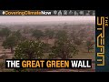 Why is Africa building a 'Great Green Wall' ? | The Stream