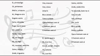 MPB 4 - Passaredo " LETRA "
