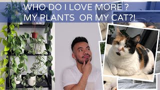 Cat vs Houseplants | How To Keep Cats From Eating Houseplants | Meet my Cat Nemo