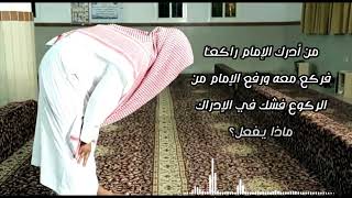 صورة الفتاوى الصوتية (٤) | من أدرك الإمام راكعا وشك في الإدراك؟ | الشيخ عبدالرحمن الودعان