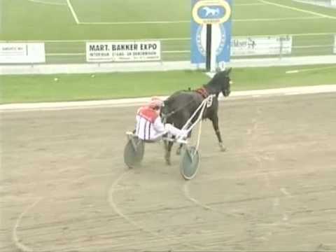Adelaide Boko -B.J. Crebas (1.22,1), 2. Zazzera Toscana. 3. Andrea Swagerman, 4. Yorneau