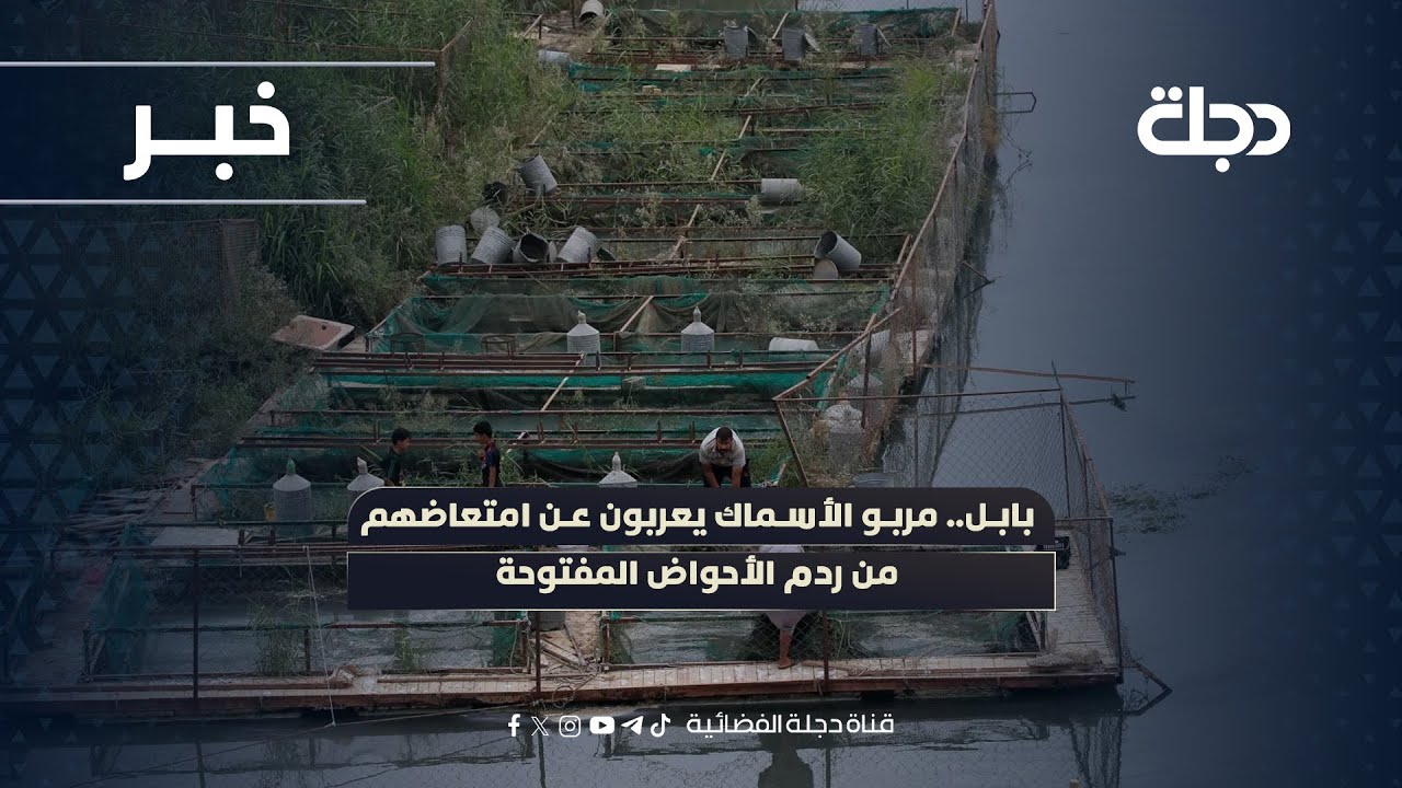 فيديو | بابل.. مربو الأسماك يعربون عن امتعاضهم من ردم الأحواض المفتوحة