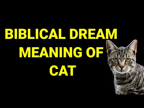 Biblical Dream meaning of Cat
