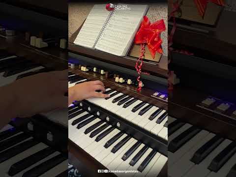 É assim que se parece um Órgão Tradicional - Tokai T1