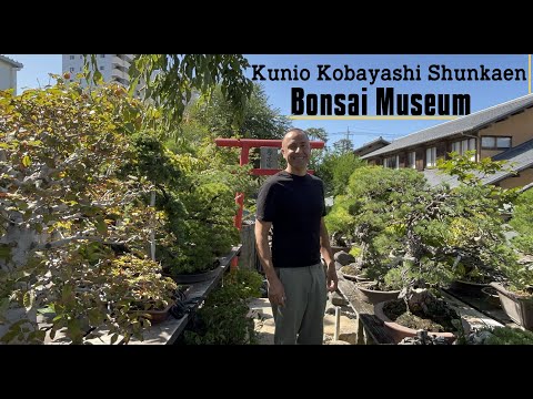 Kunio Kobayashi Shunkaen Museum Tokio (Japón)