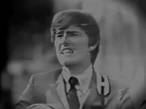 NEW * Evol-Not Love - The Five Americans {Stereo} 1966