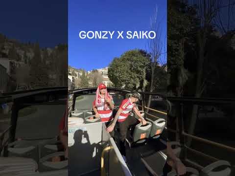 Canción muy exclusiva para vosotros? #lyrics #saiko #gonzy