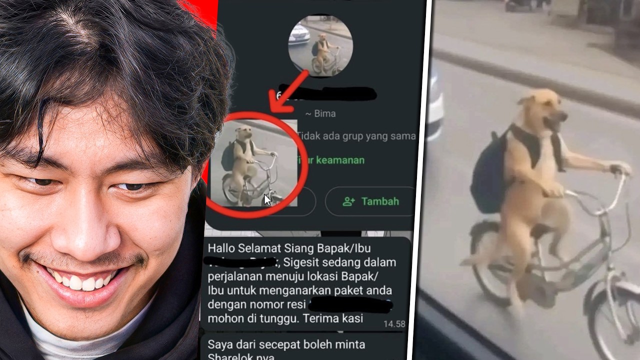 absurd banget foto nih kurir.. 😹 - REACT MEME KOCAK