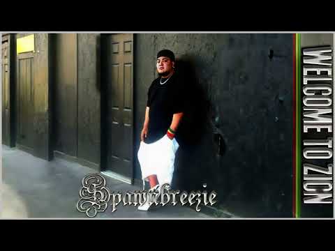 Spawnbreezie - Womp (Audio)