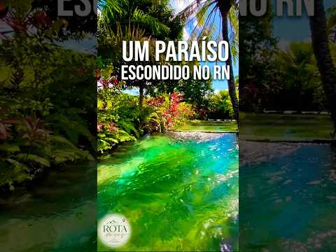 Um paraíso escondido no RN                 Esse paraíso fica a 90km de Natal.