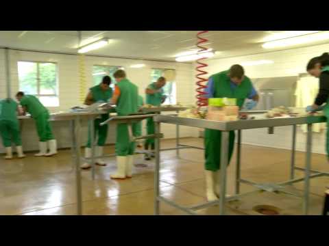 Department of Paraclinical Sciences - Prof Christo Botha