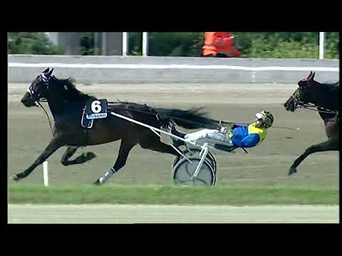 Napoli Trotto 13/05/2022 - 6ª corsa