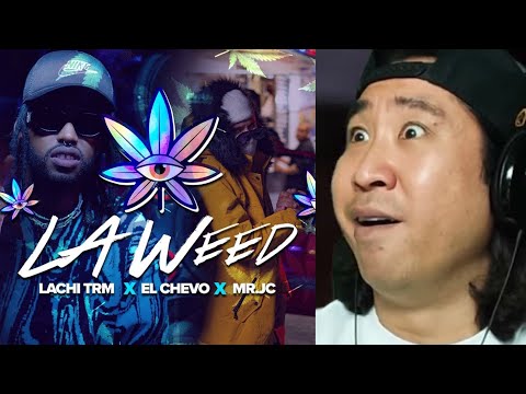 La canción para los "MARIJUANEROS" 😂 Lachi TRM, El Chevo, Mr JC