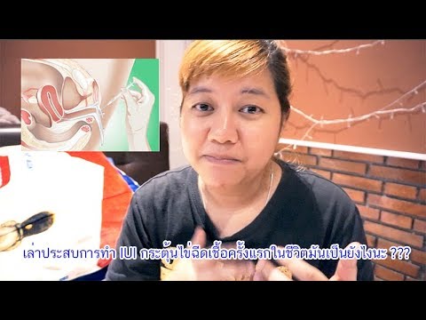 กระเจี๊ยวใหญ่มากและน้อย ไปในความแรง
