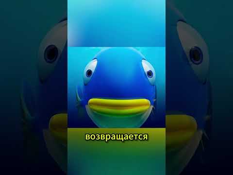 Уникальная дружба между тюленем и рыбой 🐟 #анимация #шорты