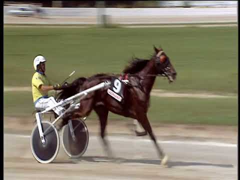 Trotto 09/09/2018 - 2ª corsa