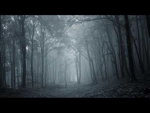 Chemik ZWM - Otchłań