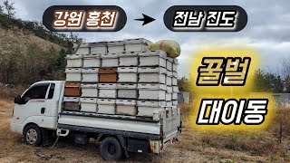 꿀벌들 월동하러 땅끝으로 갑니다 [전국을 유랑하는 이동 양봉]