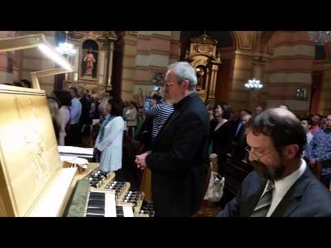 Zdravo Djevo - Mario Penzar, orgulje i Ivica Saric, bas