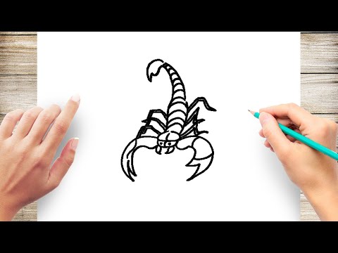 download lagu mp3 mp4 How To Draw A Scorpion Easy Step By Step, download lagu How To Draw A Scorpion Easy Step By Step gratis, unduh video klip How To Draw A Scorpion Easy Step By Step