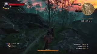 ウィッチャー3 #2