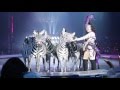 Jennifer Walker S Zebra Act
