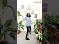 Vannara Pettayila Song Vibe