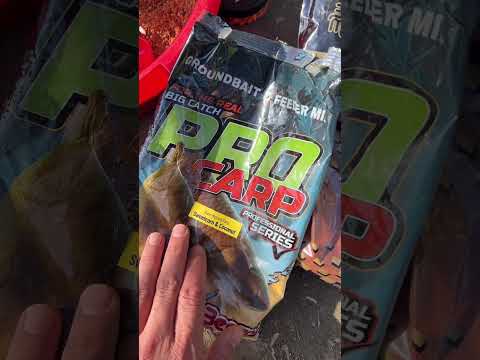 Pescuit la Method Feeder Brăila , Ploaie de pești 