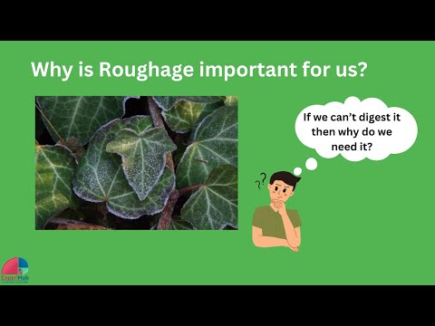 HOTS|What is Roughage? Food & Its Components | Natural Cure for Constipation | Class 6|Class7