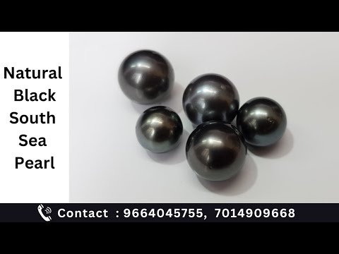 South Sea Pearl/ Natural South Sea Pearl (Moti), Black Round Shape South Sea Pearl