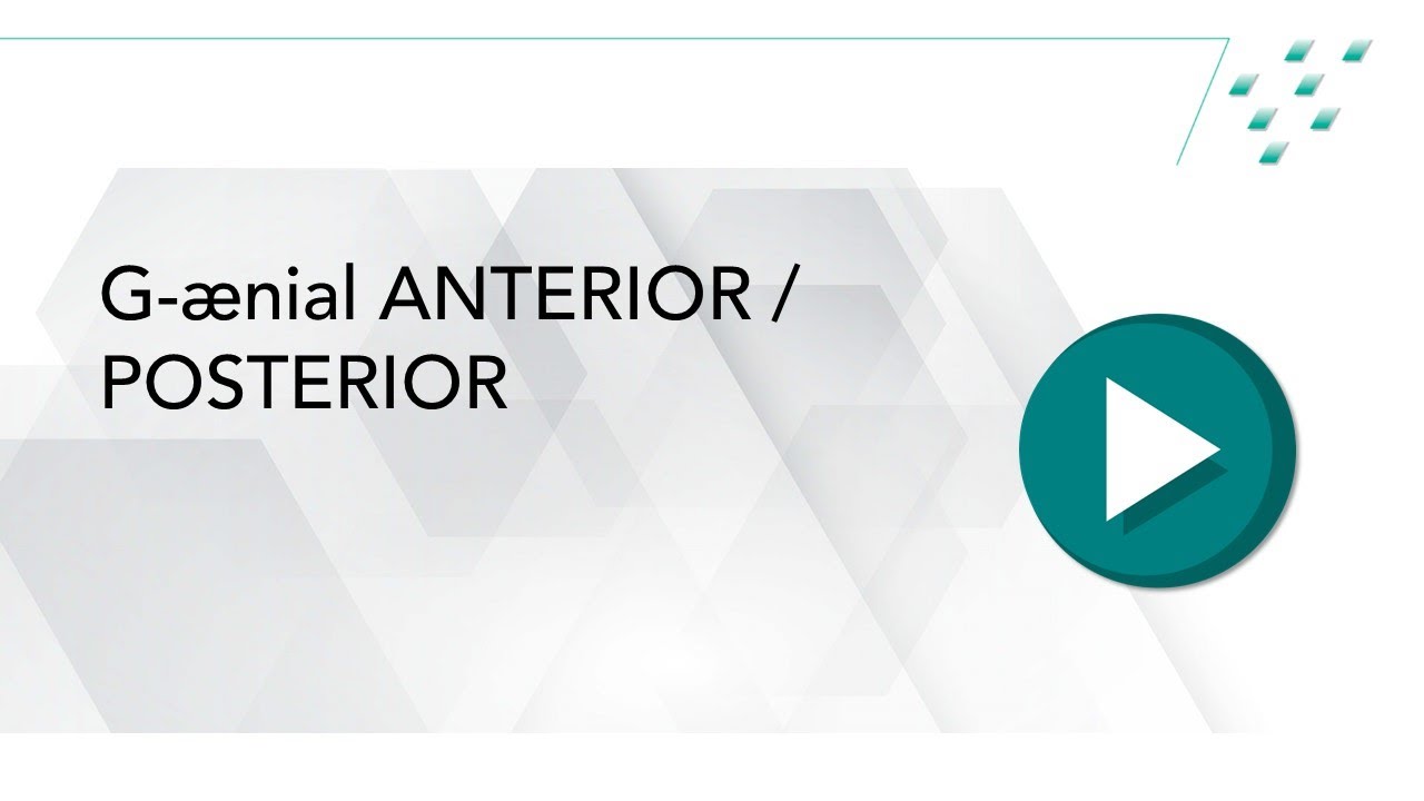 G aenial ANTERIOR / POSTERIOR