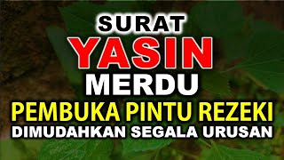 Download lagu PELANCAR REZEKI PALING AMPUH SURAT YASIN MERDU MEMBUKA PINTU REZEKI MUROTTAL PELANCAR REZEKI mp3 Download lagu PELANCAR REZEKI PALING AMPUH SURAT YASIN MERDU MEMBUKA PINTU REZEKI MUROTTAL PELANCAR REZEKI mp3